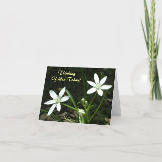 Cartão Pensamento de você hoje! - Vazio para dentro