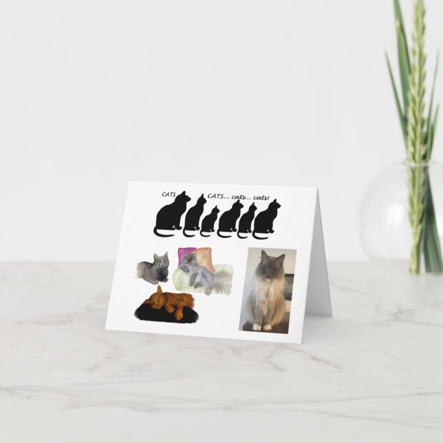 Cartão Pensamento Humorístico sobre Gatos (Frente)