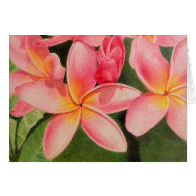Cartão Pensamentos da Plumeria (Frente horizontal)