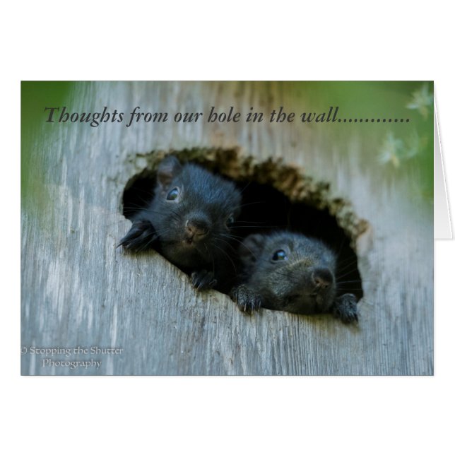 Cartão Pensamentos de nosso furo na parede ...... (Frente Horizontal)