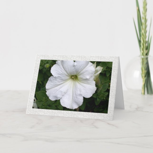 Cartão Pensamentos de você Petunia (Frente)