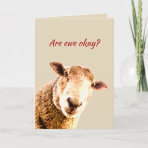 Cartão Pensando em ovelha humor animal engraçado