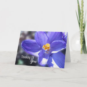 Cartão Pensando Em Sua Foto De Crocus Floral