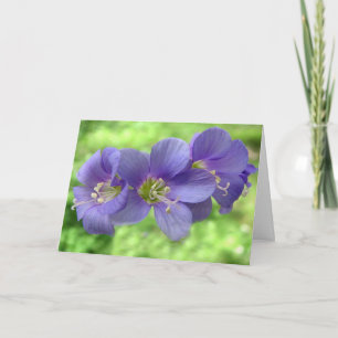 Cartão Pensando em você