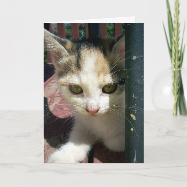 Cartão Pensando Em Você (Frente)