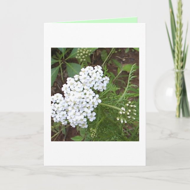 Cartão Pensando em você (Frente)