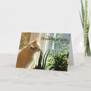 Cartão Pensando em você.