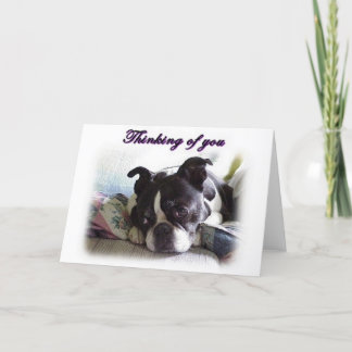 Cartão Pensando em você4