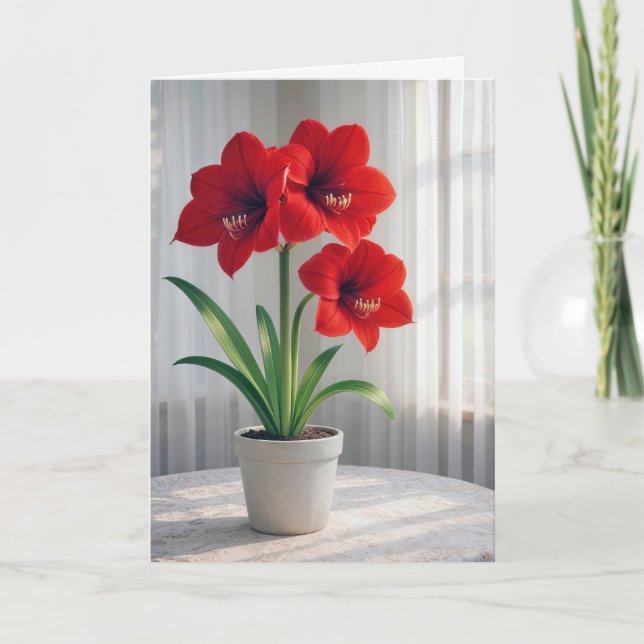 Cartão Pensando em Você Amaryllis Vermelha em Flor (Frente)
