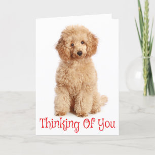 Cartão Pensando em você Apricot Poodle Puppy Dog Card