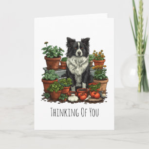 Cartão Pensando Em Você Border Collie Jardinagem