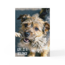 Pensando em Você Brincadeira de Cabo de Guerra Cac