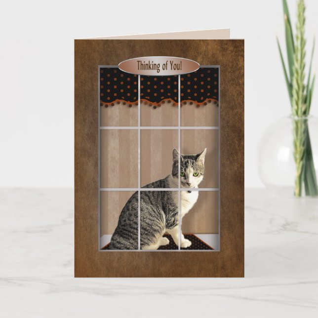 Cartão Pensando em você - Cat Olhando para a janela (Frente)