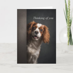 Cartão Pensando em Você Cavalier Spaniel