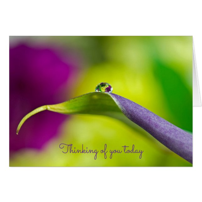 Cartão pensando em você dewdrop na folha (Frente Horizontal)