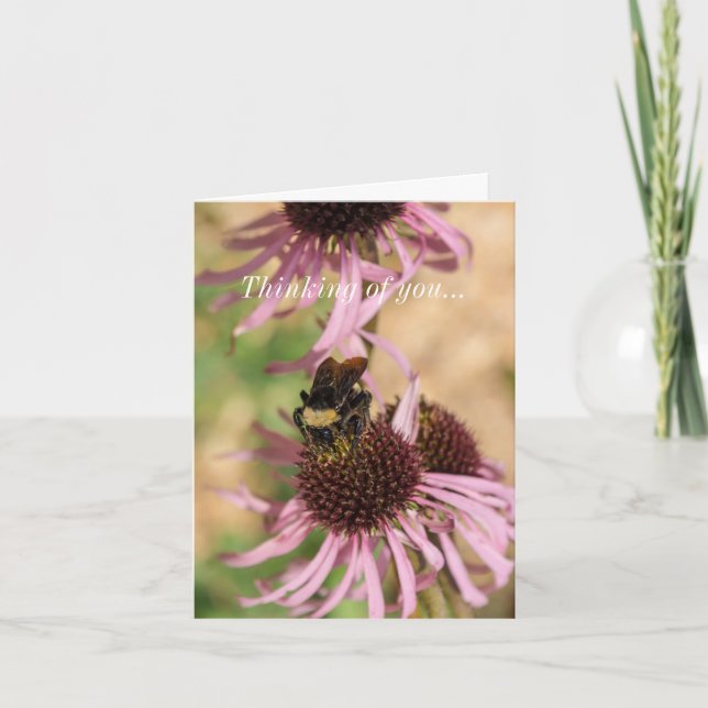 Cartão Pensando em você, em Susan Pano, de olhos negros (Frente)