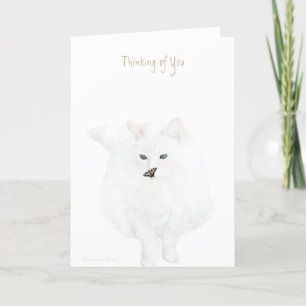 Cartão Pensando em você: gato branco