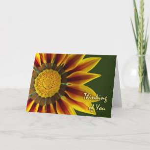 Cartão Pensando em você, Gazania Flor, Vazio Card