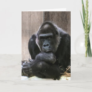 CARTÃO PENSANDO EM VOCÊ GORILLA GREETING CARDS