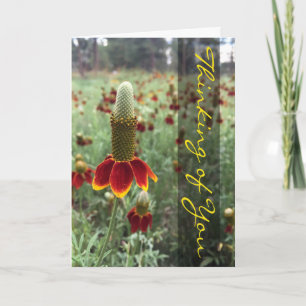 Cartão Pensando em você na vertical, Prairie Coneflower F