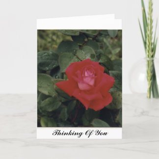 Cartão Pensando Em Você - Personalizado
