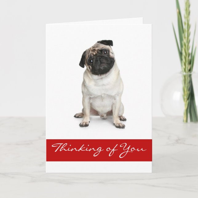 Cartão Pensando em você Pug Puppy Dog Greeting Card (Frente)