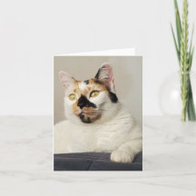 Pensando em você Saudação Fotográfica