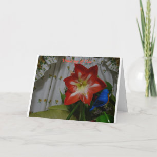 Cartão Pensando em você, Stargazer Amaryllis