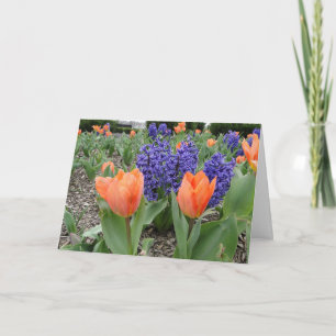 Cartão Pensando em você, Tulipas e Hyacinths