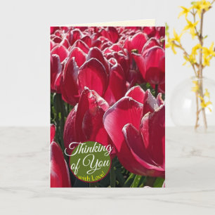 Cartão Pensando em Você Tulipas Vermelhas Saudações Flora