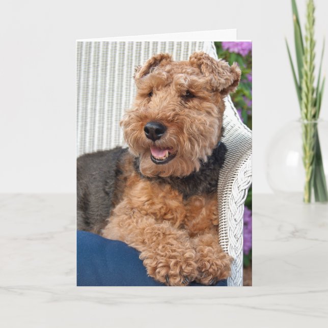 Cartão pensando em você-Welsh Terrier na cadeira de wicke (Frente)