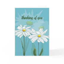 Pensando nas margaridas