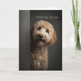 Cartão Pense em Você Goldendoodle