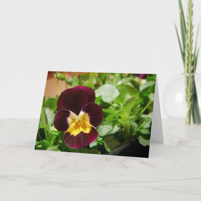 Cartão Pensée (Frente)