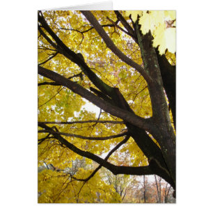 Cartão Pensilvânia Dourada