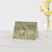 Pensky Warbler - Pensando em Você