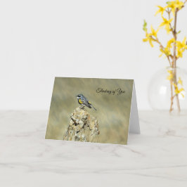 Cartão Pensky Warbler - Pensando em Você