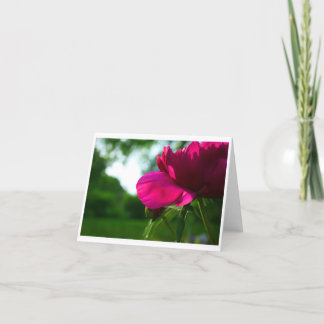 Cartão Peônia Notecard vazio