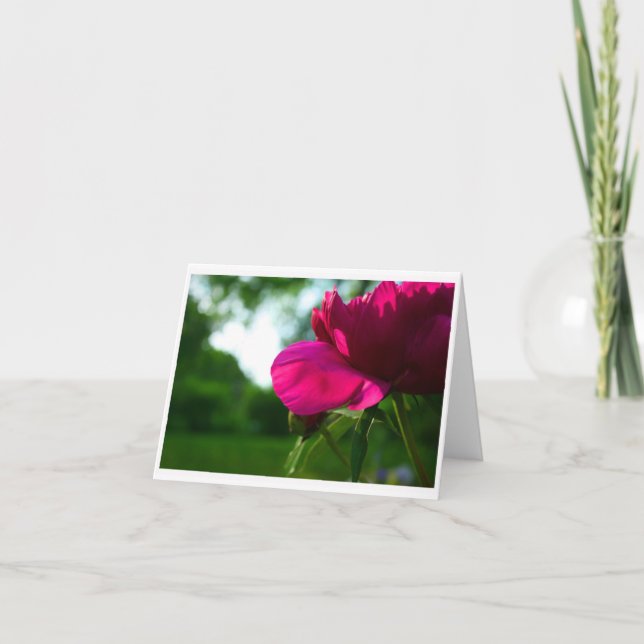 Cartão Peônia Notecard vazio (Frente)