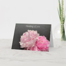 Peônias cor-de-rosa com espaço de texto pensando e