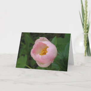 Cartão Peony