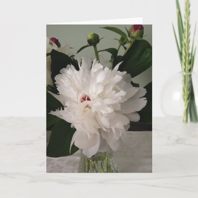 Cartão Peony, Card (Frente)