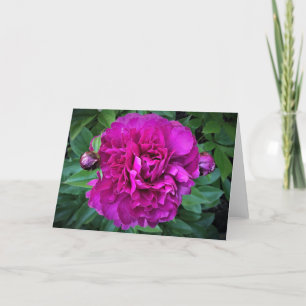 Cartão Peony, carta
