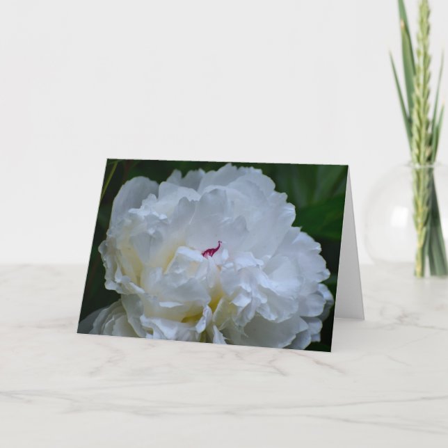 Cartão Peony, carta (Frente)