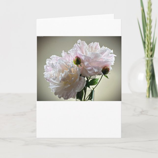 Cartão Peony, carta (Frente)