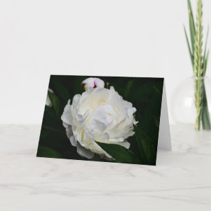 Cartão Peony, carta