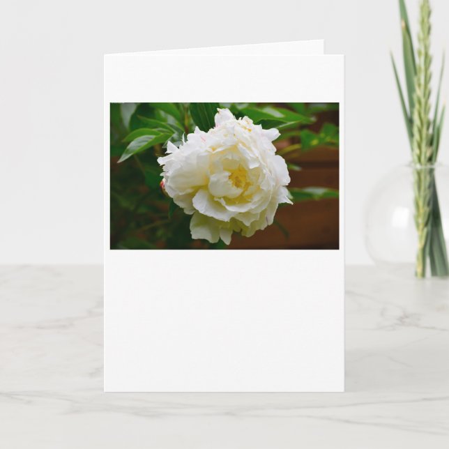 Cartão Peony, carta (Frente)
