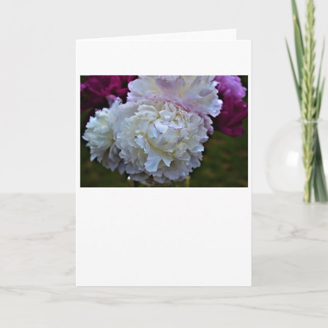 Cartão Peony, carta (Frente)
