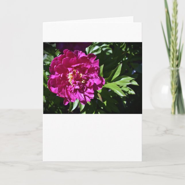 Cartão Peony, carta (Frente)
