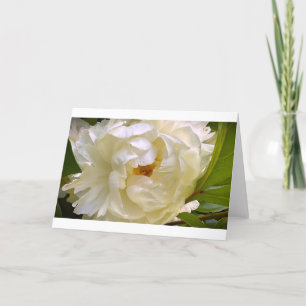 Cartão Peony, carta